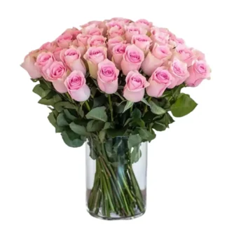 25 Ecuadori roosat roosi 70cm