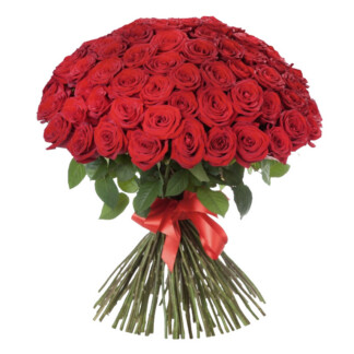 51 punast roosi 70cm