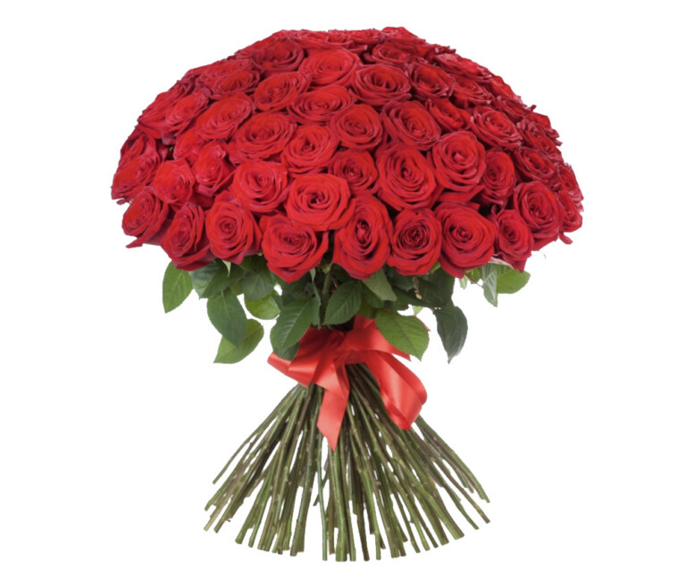 51 punast roosi 70cm