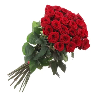 31 punast roosi 70cm