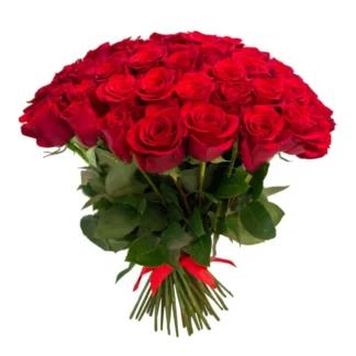 51 punast roosi 50cm