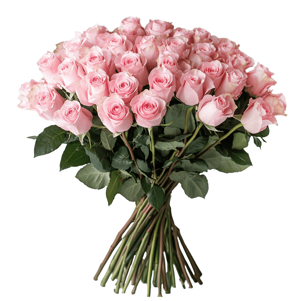 51 roosat roosi 50cm