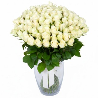 101 valget roosi 40cm