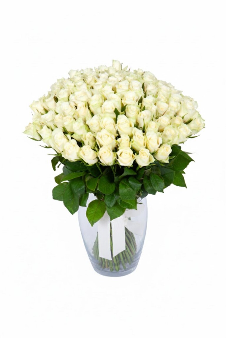 101 valget roosi 40cm