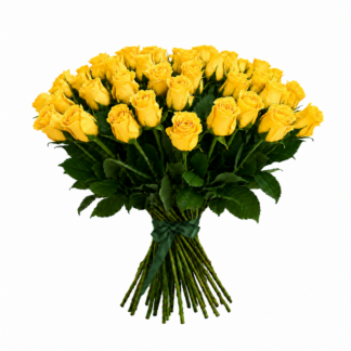 35 kollast roosi 50cm