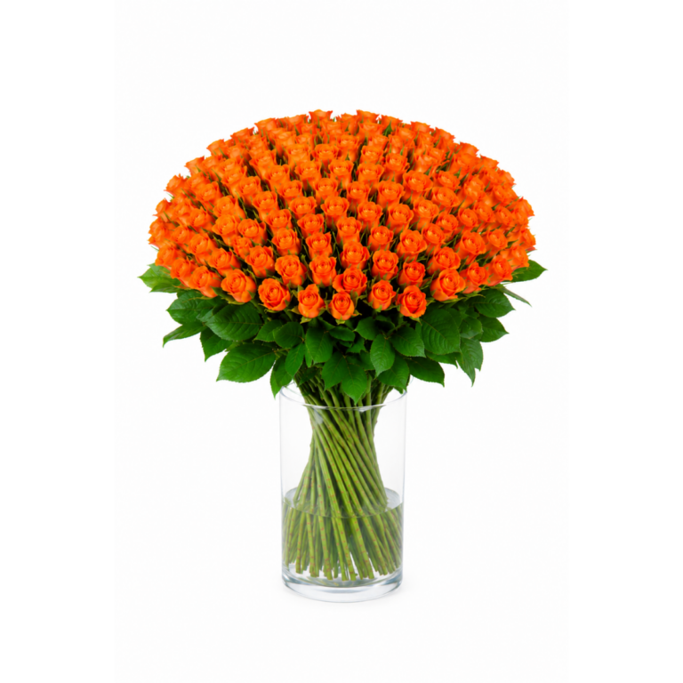 151 oranži roosi 50cm
