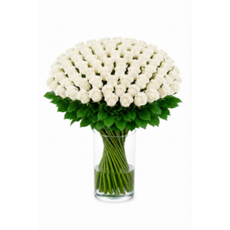 101 valget roosi 50cm