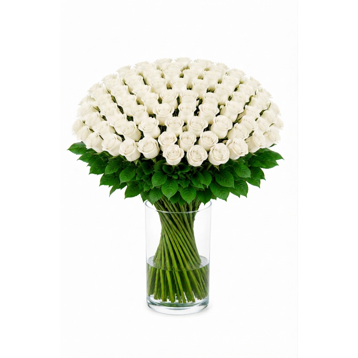 101 valget roosi 50cm