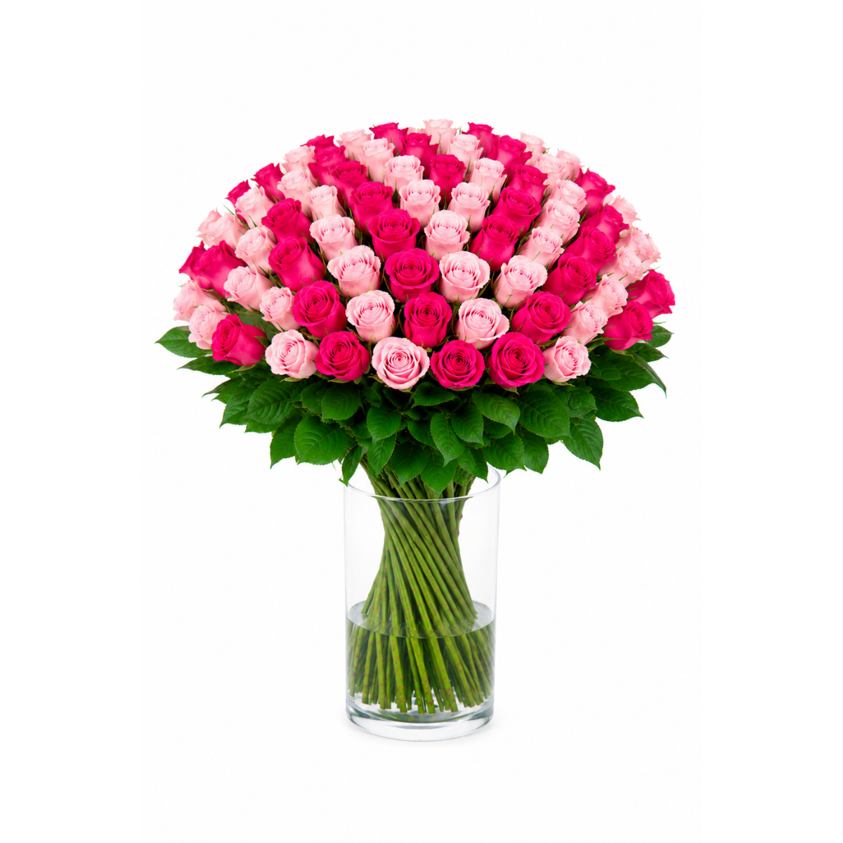 101 mix roosi 50cm