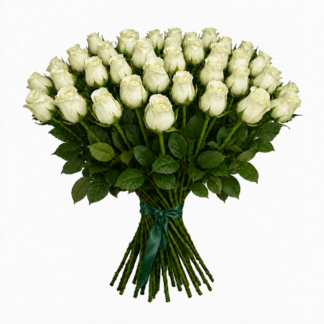 35 valget roosi 50cm