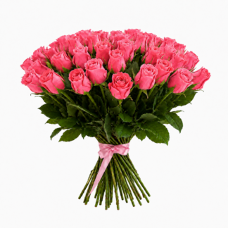 35 roosat roosi 50cm