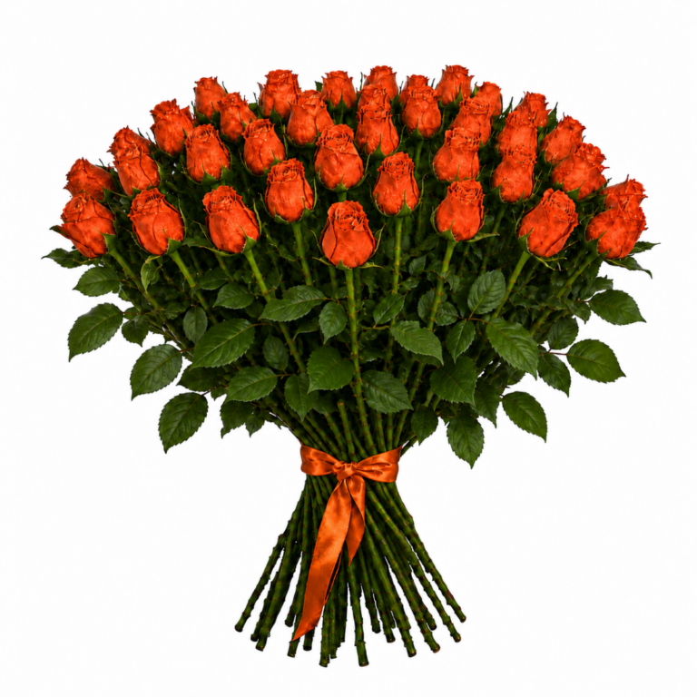 35 oranži roosi 50cm